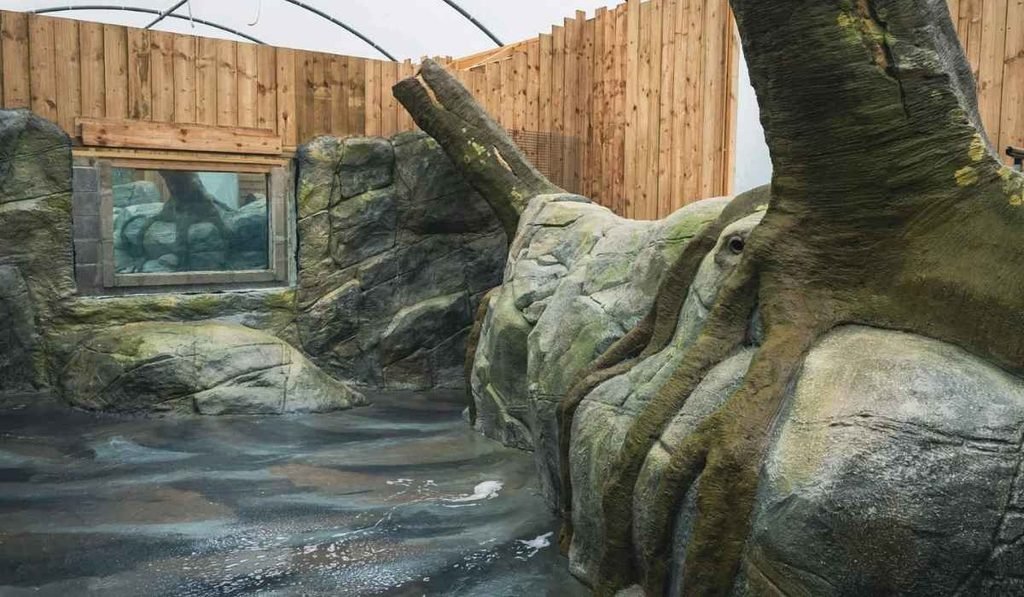 Artificial zoo