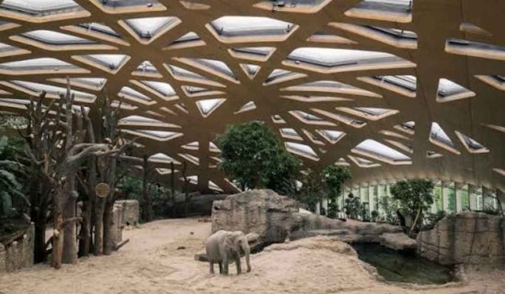 Artificial zoo