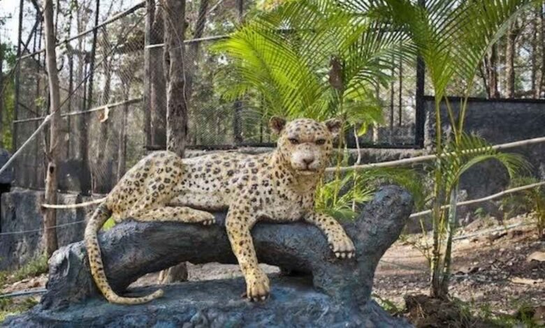Artificial zoo